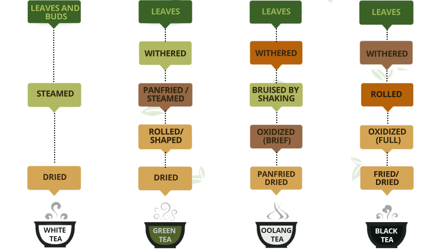 tea manufacturing process